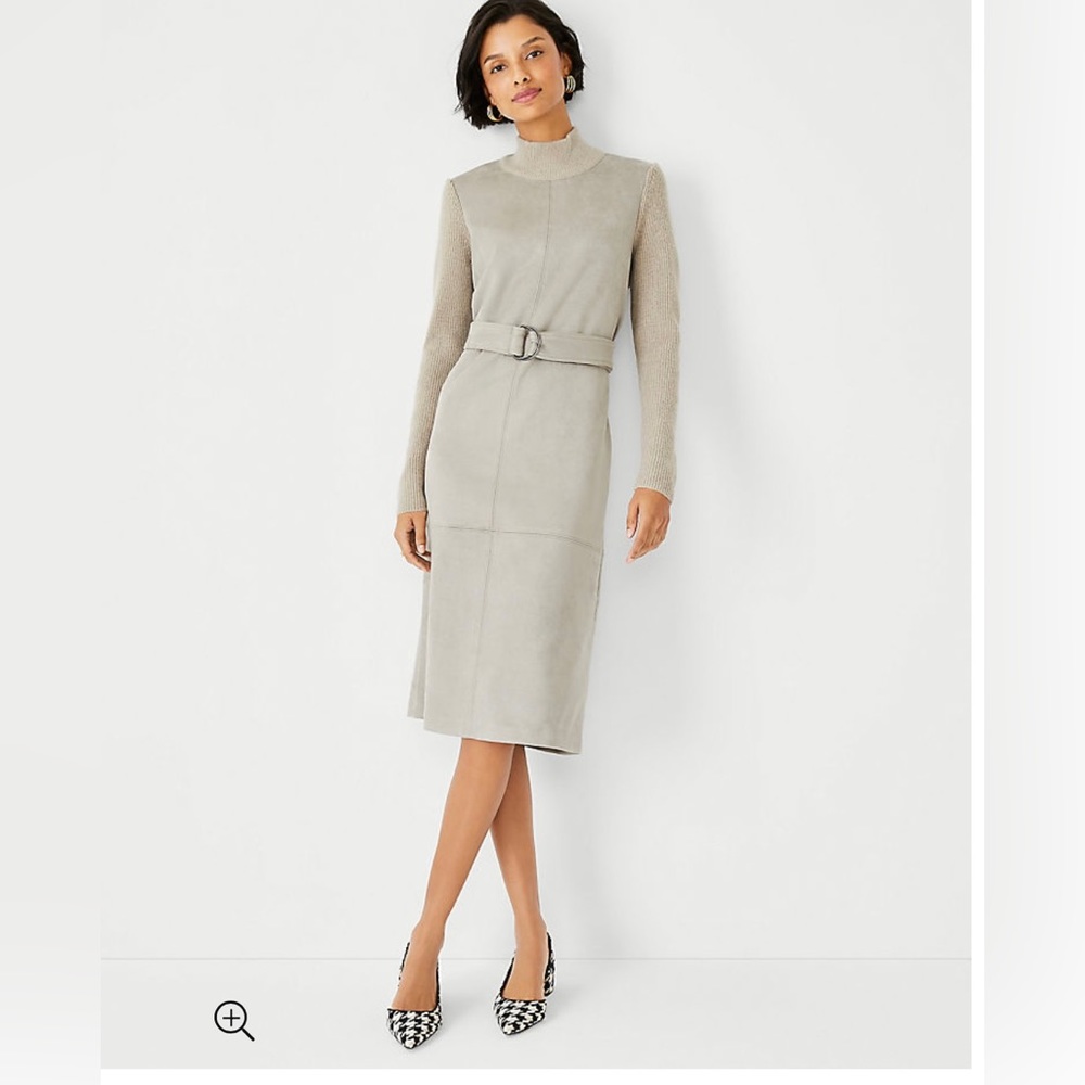Ann Taylor Faux Suede Dress